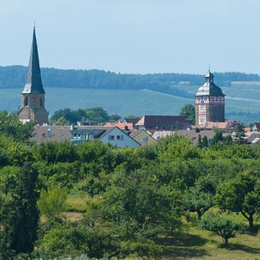 Zuhause in Bönnigheim
